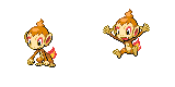chimchar