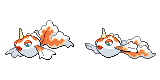 goldeen