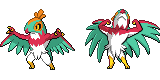 hawlucha