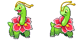 meganium