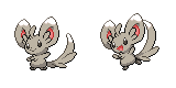 minccino