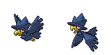 SPECIES_MURKROW