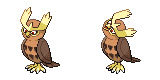 noctowl