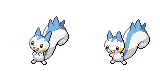 pachirisu