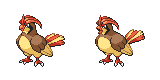 pidgeotto