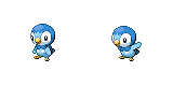 piplup