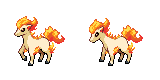ponyta