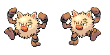 primeape