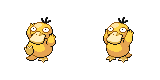 psyduck