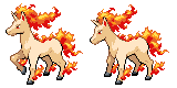 rapidash