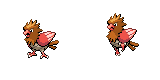spearow