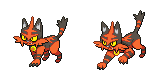 torracat