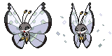 vivillon