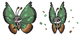 vivillon_jungle