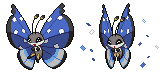 vivillon_polar