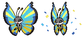 vivillon_savanna