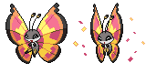 vivillon_sun