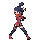 Ace Trainer F