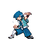 Leader Falkner